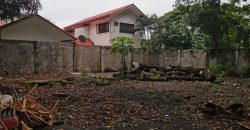 Rare Lot for Sale in Merville, Molave Park