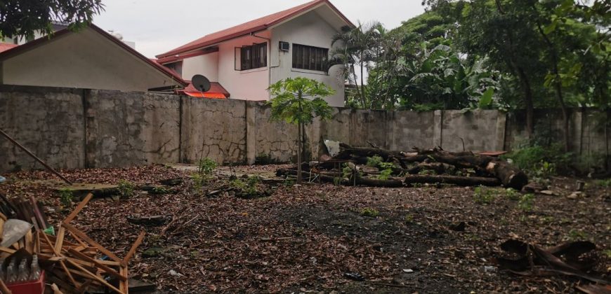 Rare Lot for Sale in Merville, Molave Park