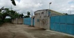 FOR LEASE: Poultry Farm in Quezon