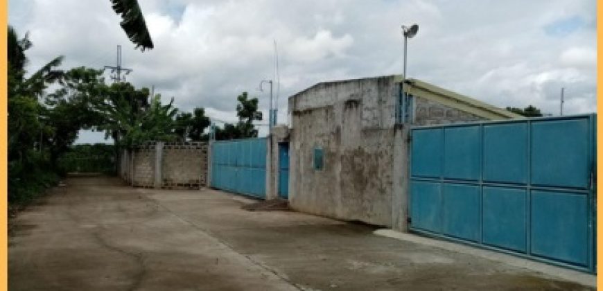 FOR SALE: Poultry Farm in Quezon