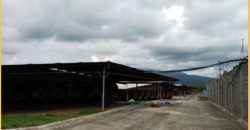 FOR SALE: Poultry Farm in Quezon