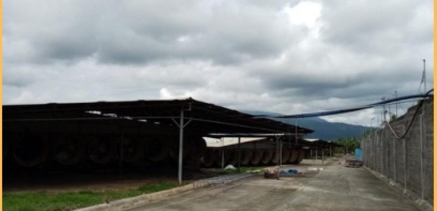 FOR SALE: Poultry Farm in Quezon