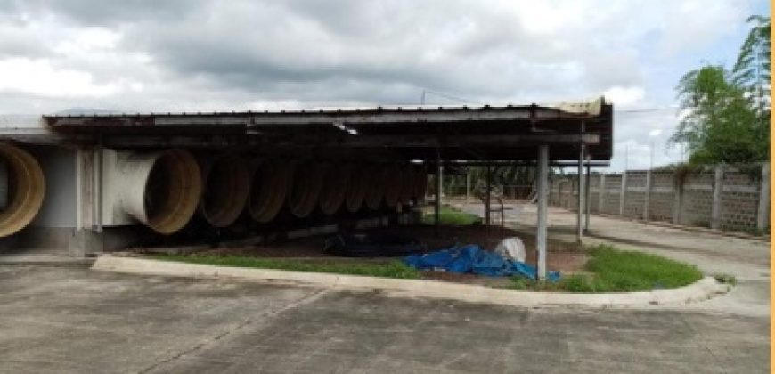 FOR SALE: Poultry Farm in Quezon