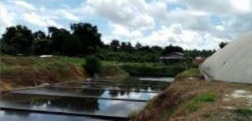 FOR LEASE: Poultry Farm in Quezon