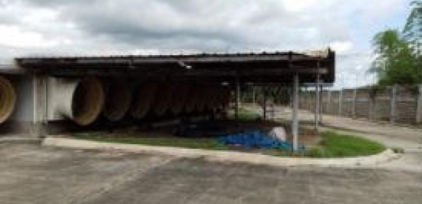 FOR LEASE: Poultry Farm in Quezon