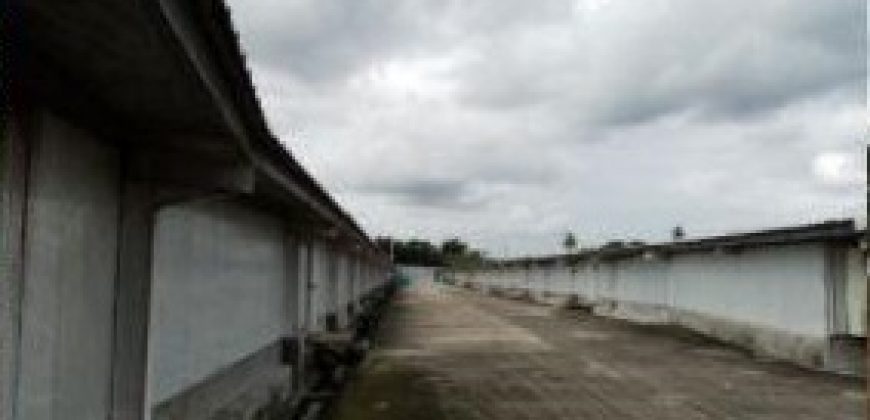 FOR LEASE: Poultry Farm in Quezon