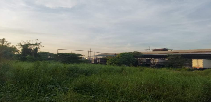 Maysan Valenzuela Warehouse Lot for Sale