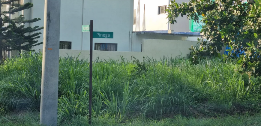 Avida Parkway Settings Nuvali Residential Lot for Sale in Calamba, Laguna