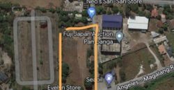 Angeles Magalang Road Lot for Sale at almost 1 hectare