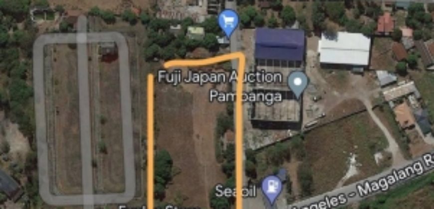 Angeles Magalang Road Lot for Sale at almost 1 hectare