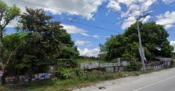 Angeles Magalang Road Lot for Sale at almost 1 hectare