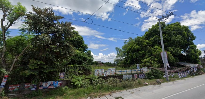 Angeles Magalang Road Lot for Sale at almost 1 hectare