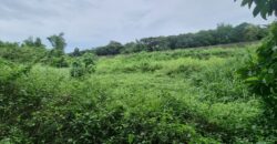 Tanay Mountainside Farm Lot For Sale along Marcos Highway