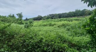 Tanay Mountainside Farm Lot For Sale along Marcos Highway