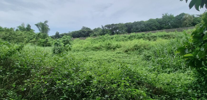 Tanay Mountainside Farm Lot For Sale along Marcos Highway