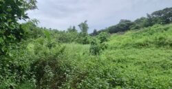 Tanay Mountainside Farm Lot For Sale along Marcos Highway