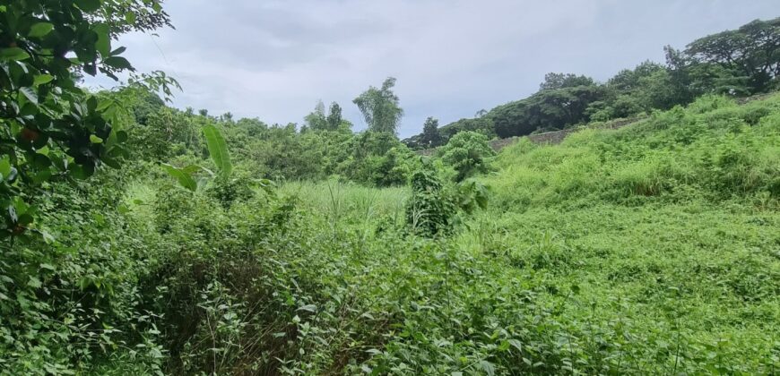 Tanay Mountainside Farm Lot For Sale along Marcos Highway