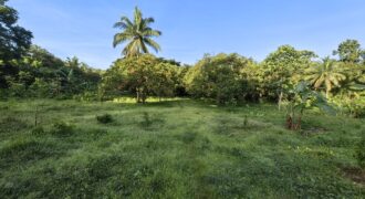 Tagaytay Farm Lot for Sale 1 hectare at Alfonso Cavite